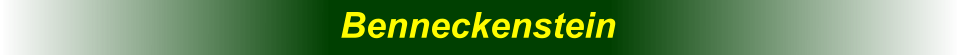 Benneckenstein